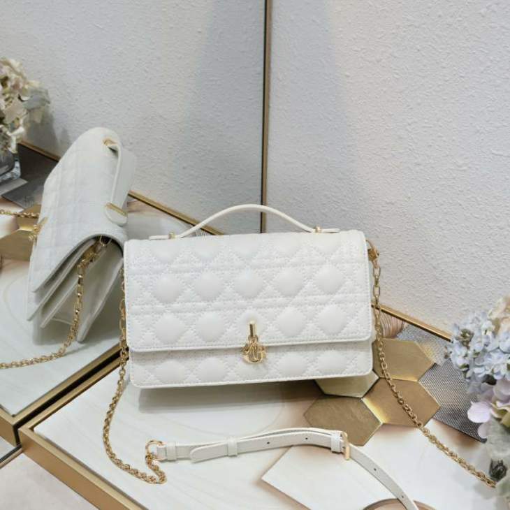 Picture of Dior Handbags _SKUfw239223718fw